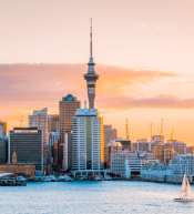 2-Month Wellington Tour Package