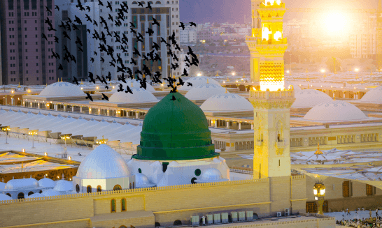 Medina